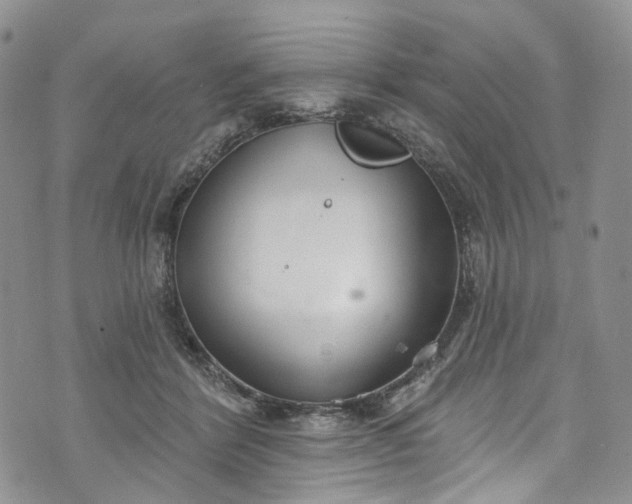 X0000072990412200608041313