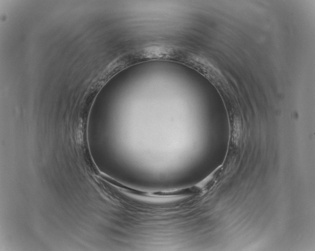 X0000072990413200608041313