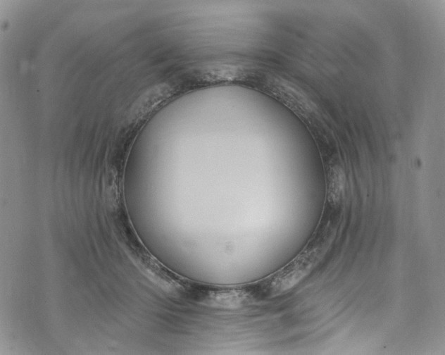 X0000072990414200608041313