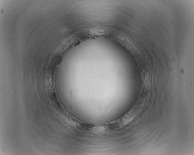 X0000072990418200608041313