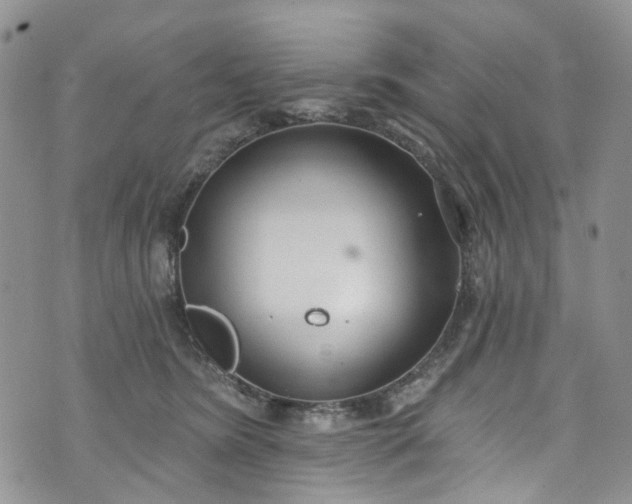 X0000072990420200608041313