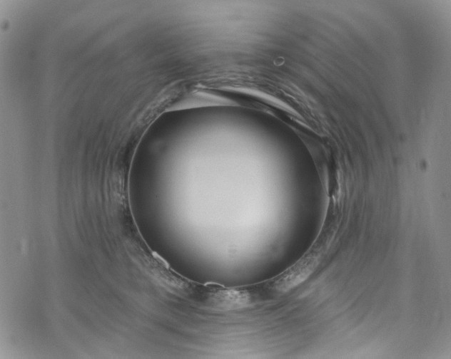 X0000072990421200608041313