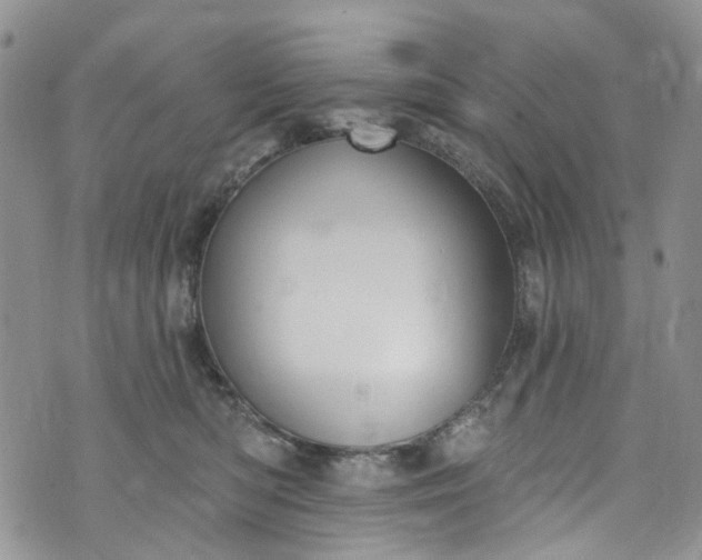 X0000072990422200608041313