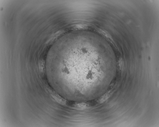 X0000072990423200608041313