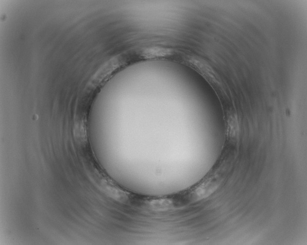 X0000072990426200608041313