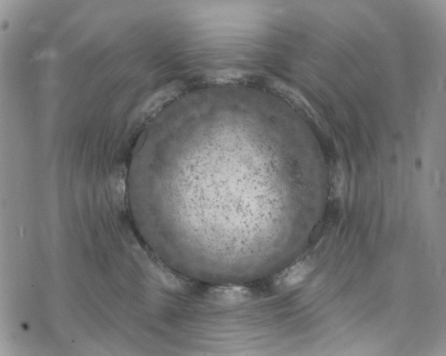 X0000072990427200608041313