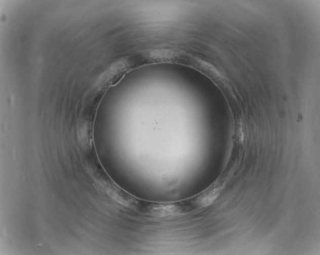 X0000072990428200608041313