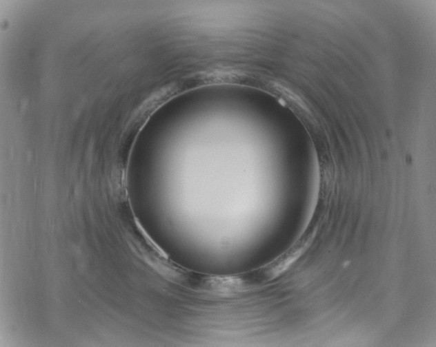 X0000072990429200608041313