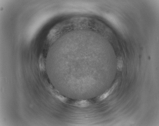 X0000072990431200608041313