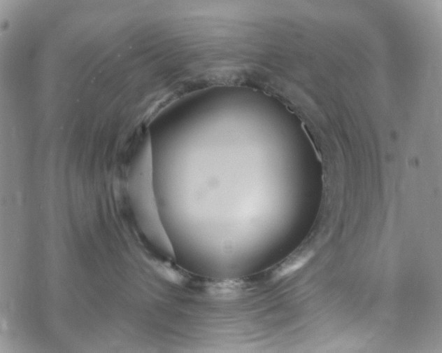 X0000072990432200608041313