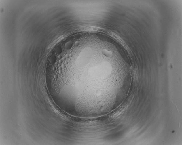 X0000072990433200608041312