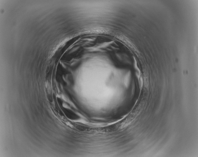 X0000072990434200608041312