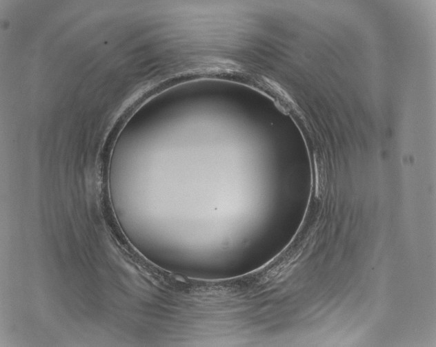 X0000072990435200608041312