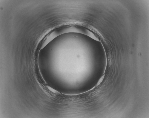 X0000072990436200608041312