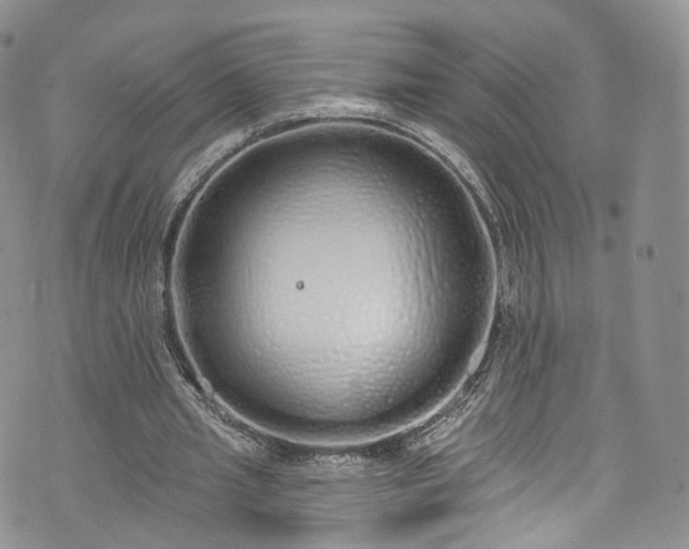 X0000072990437200608041312