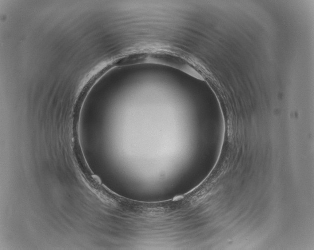 X0000072990438200608041312