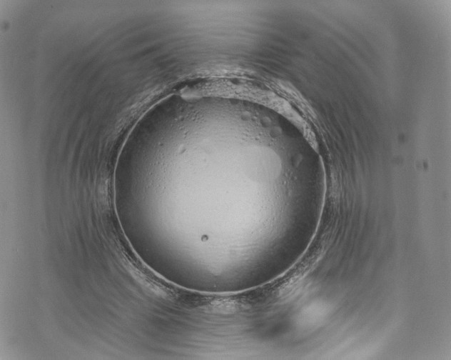 X0000072990441200608041312