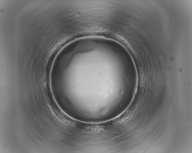 X0000072990443200608041312