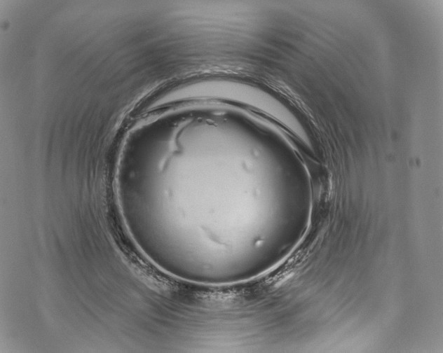 X0000072990444200608041312