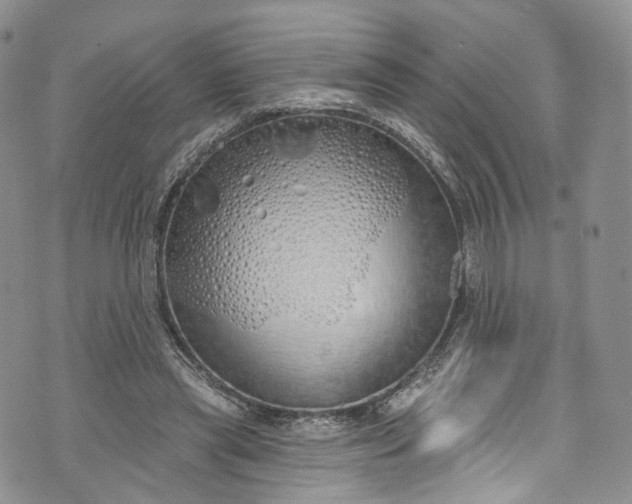 X0000072990445200608041312