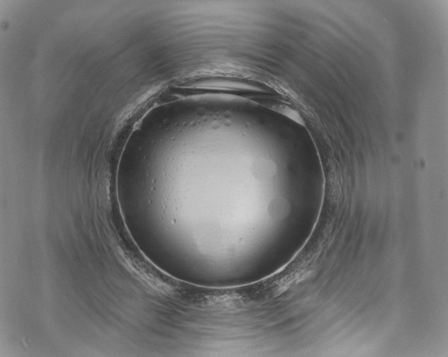 X0000072990446200608041312