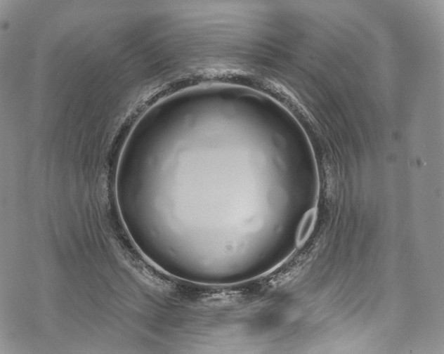 X0000072990447200608041312