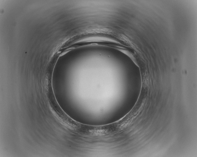 X0000072990448200608041312