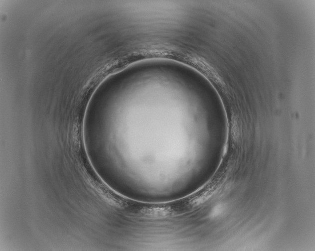 X0000072990449200608041312