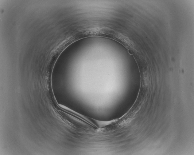 X0000072990450200608041312