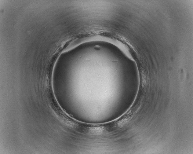 X0000072990451200608041312