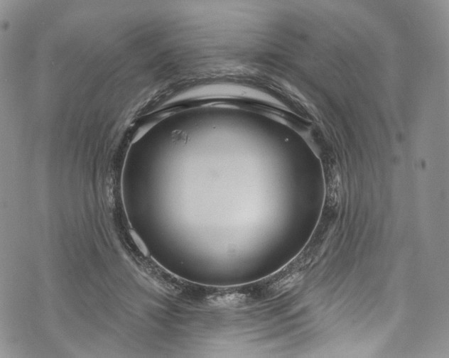 X0000072990452200608041312