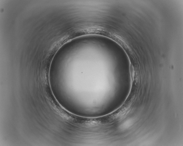 X0000072990453200608041312