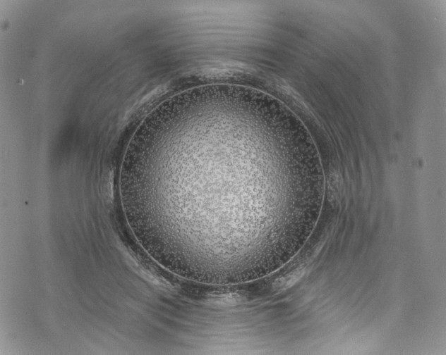 X0000072990454200608041312