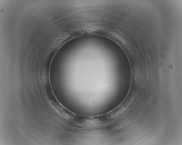 X0000072990455200608041312