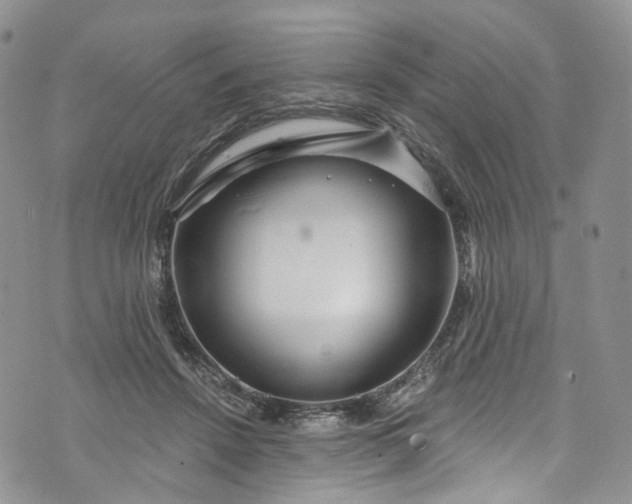 X0000072990456200608041312