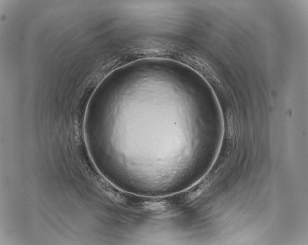 X0000072990457200608041312