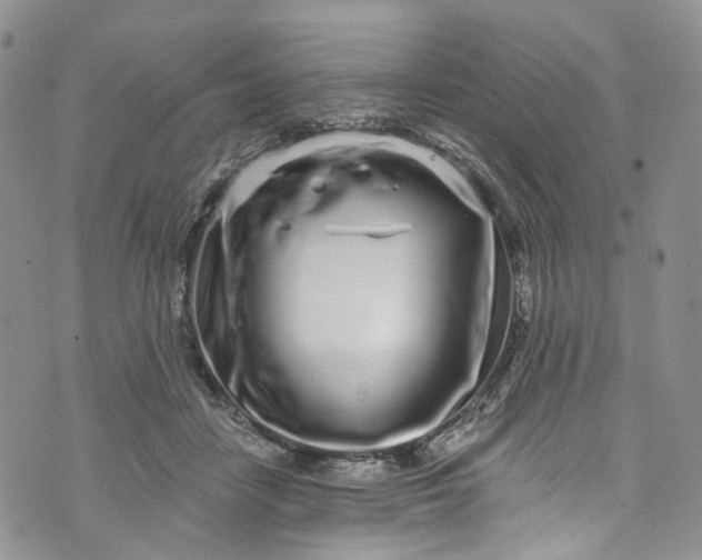 X0000072990458200608041312