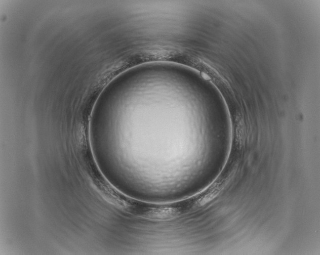 X0000072990459200608041312