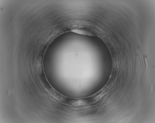 X0000072990460200608041312