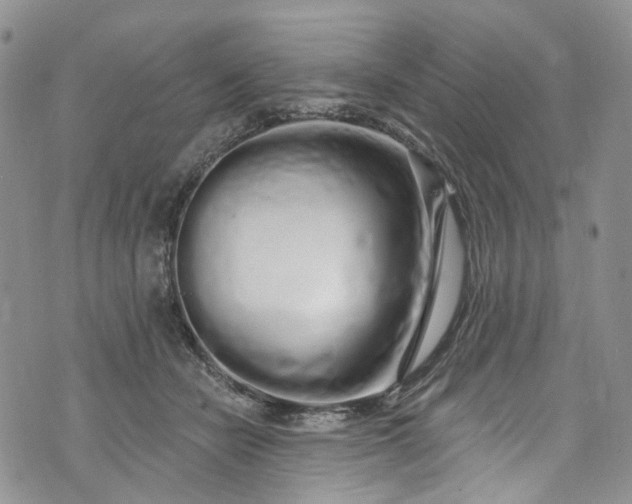 X0000072990462200608041312