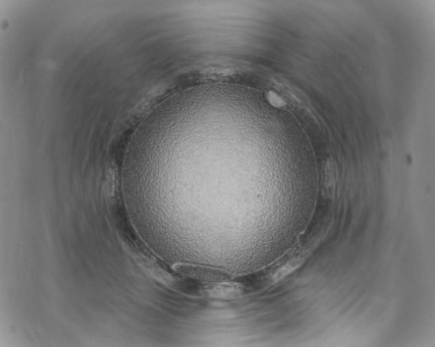 X0000072990463200608041312