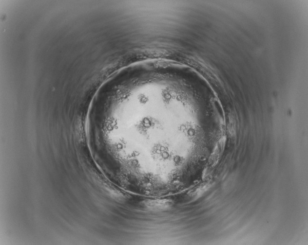 X0000072990465200608041312