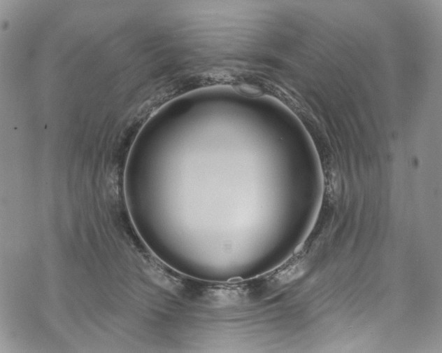 X0000072990466200608041312