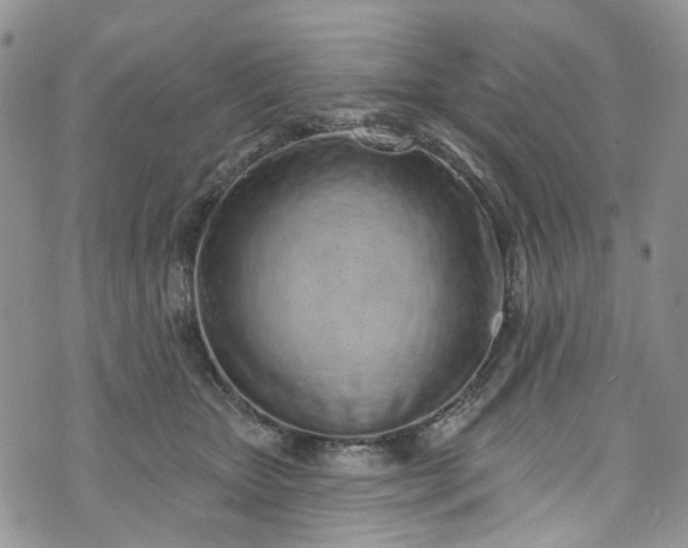 X0000072990467200608041312