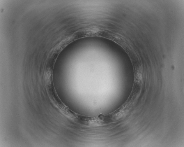 X0000072990468200608041312