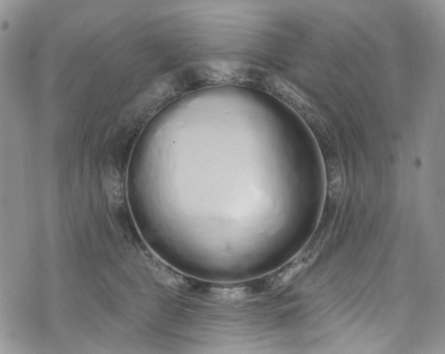 X0000072990469200608041312