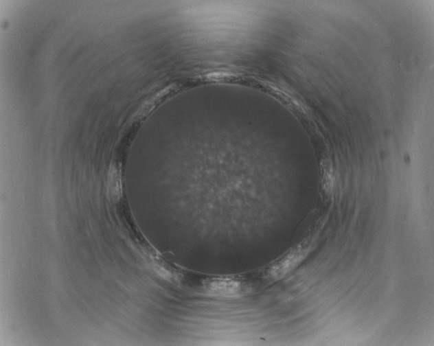 X0000072990471200608041313