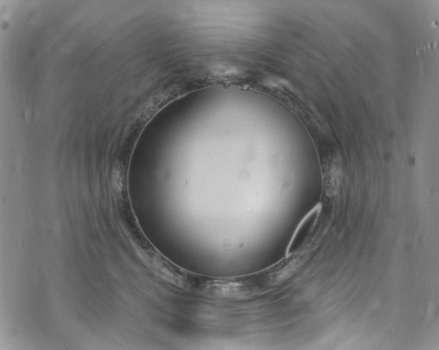 X0000072990472200608041313