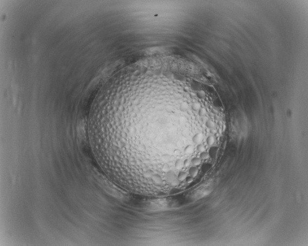 X0000072990473200608041313