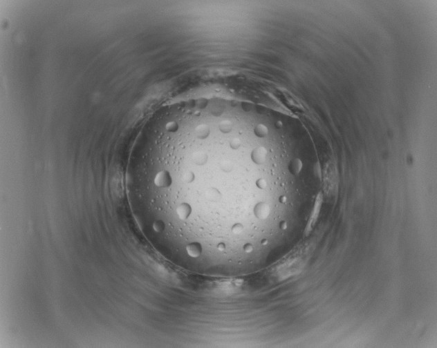 X0000072990474200608041313